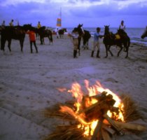 Horse Country Resort Congress & SPA Arborea